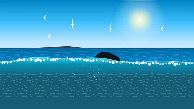 Ocean Waves and Seabirds  Rocky Coastline