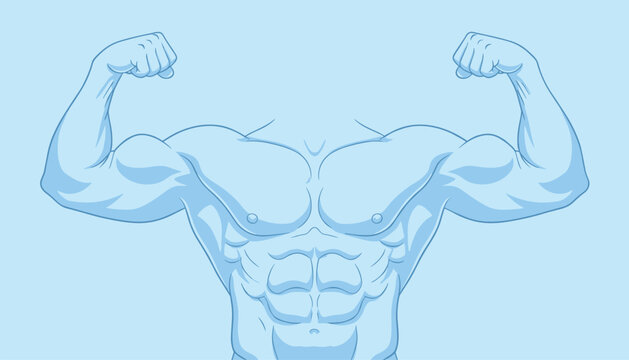 Muscular male bodybuilder flexing double biceps on light blue background fitness vector line illustration.