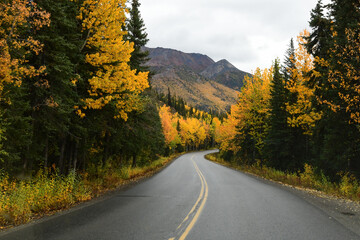 Obraz premium Fall colors along Park Road in Denali National Park, Alaska.
