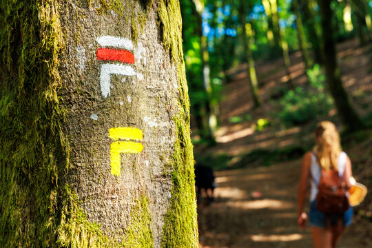 Hiking trail marker painted on tree trunk with blurred hiker walking in forest