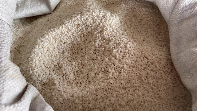 Top View Raw White Glutinous Rice Grains Texture Footage
