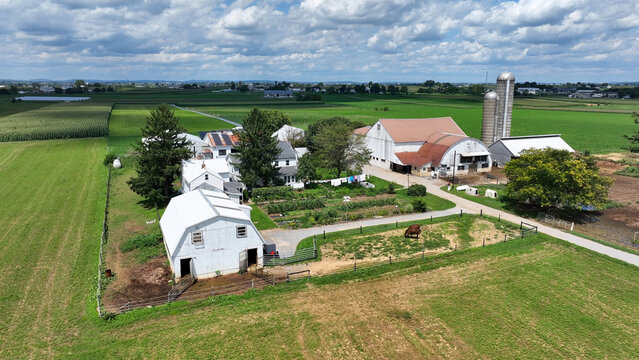Aerial view of a traditional farmstead with white barns, silos, a farmhouse, and grazing livestock set amidst expansive green agricultural fields in Ronks, Pennsylvania, United States.