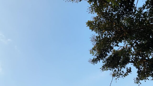 Blue Sky with Soft Clouds and Minimalist Nature Background
