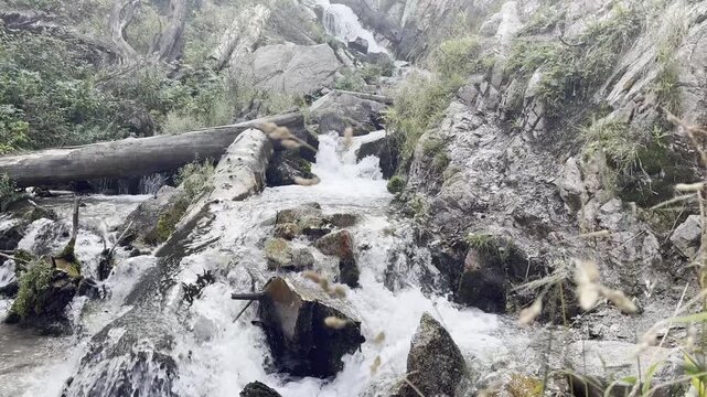 stream in the mountains