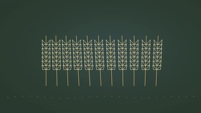Fresh vibrant citrus fruit slices rotating in geometric pattern animation on dark background