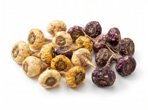 Fresh Peruvian Maca Roots in Yellow, Purple and Cream Varieties Isolated on White Background, Natural Superfood Ingredient