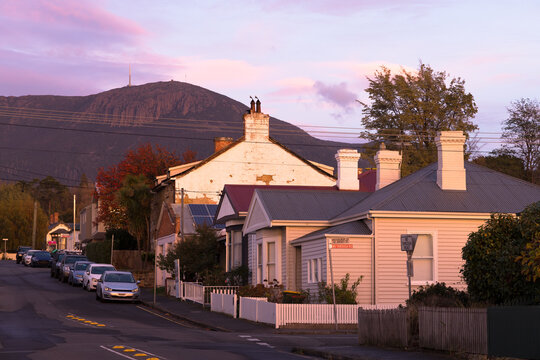 Neighbouring houses along a hillside street with Mt Wellington/Kunyani in the background
