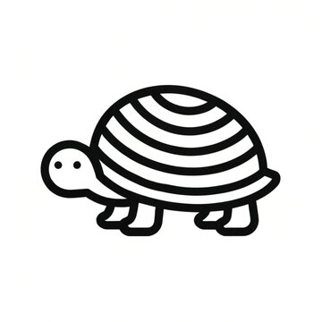 snail and turtle