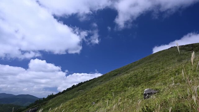 ススキが揺れる秋の青空のタイムラプス