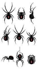 Fototapeta premium Set of eight black widow spiders with red hourglass markings shown in different leg positions