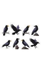 Obraz premium Set of eight black and purple crows perched flying and standing with yellow beaks