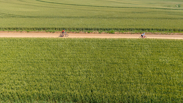 Aerial view of two cyclists riding mountain bikes along a dirt path through a vast green wheat field in the countryside in Greyton, Western Cape, South Africa.
