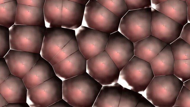 Microscopic organic cell structure animation, biological skin tissue division abstract, scientific medical background motion graphics