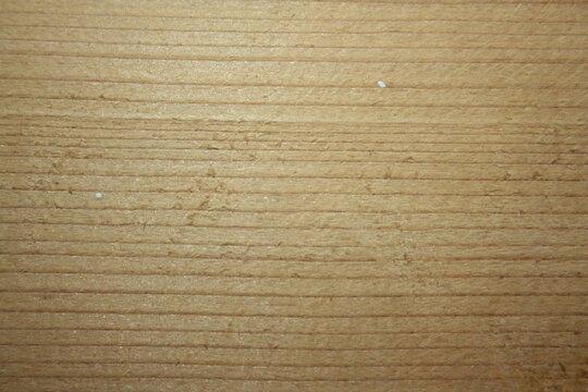 cardboard texture background