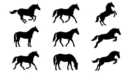 Obraz premium Horse Silhouettes Set - Black Vector Animal Icons