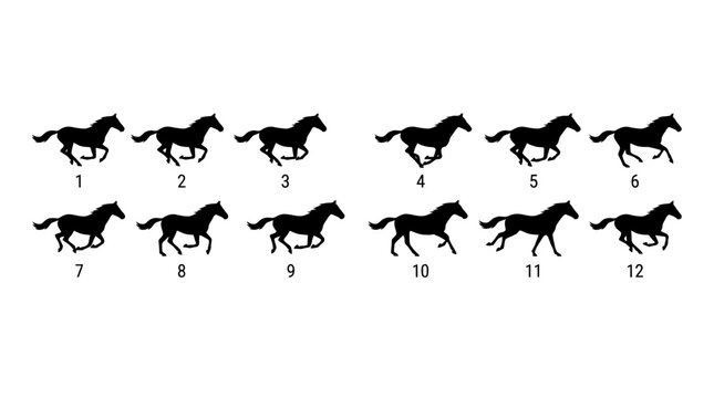 Horse Running Animation Cycle Silhouette Vector Sheet