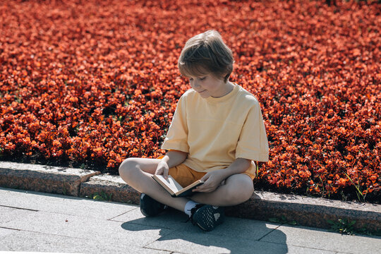 Young boy reading a book on sidewalk near flowerbed