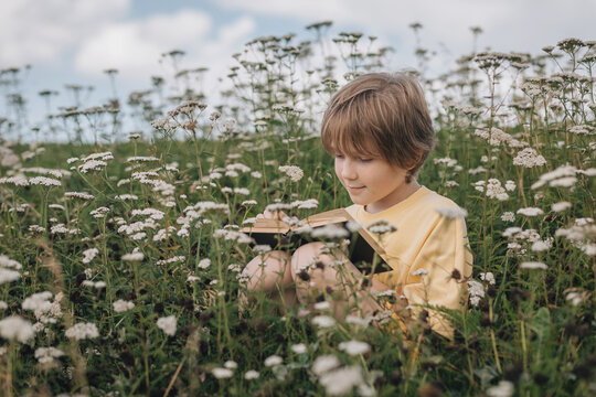 Young boy reading a book in a field of wildflowers