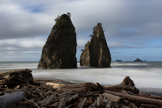 Dramatic sea stacks on the coast with driftwood