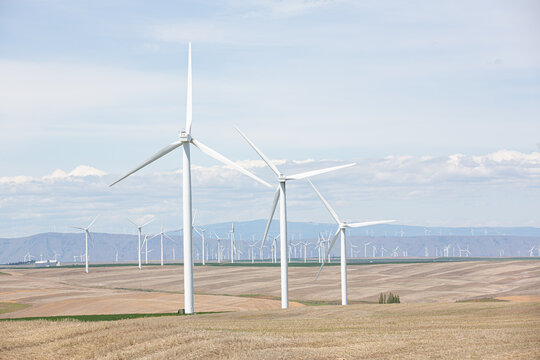 Wind farm on rolling hills under a bright sky