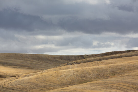Vast rolling fields after harvest under dramatic cloudy sky
