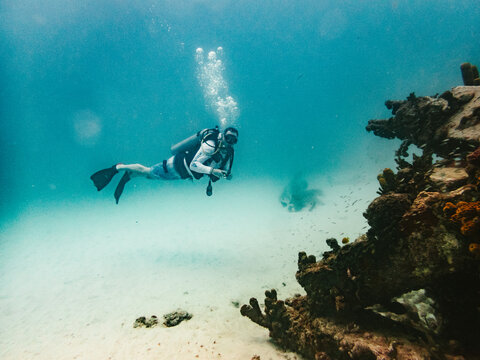 Scuba diver exploring a shallow coral reef