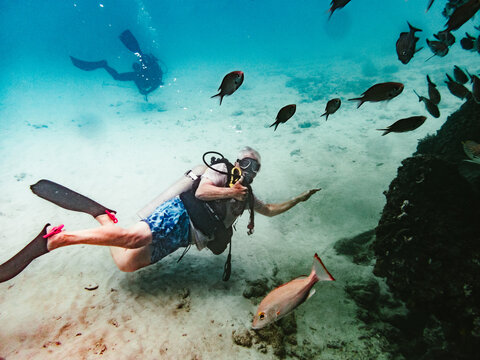 Man scuba diving with a school of fish