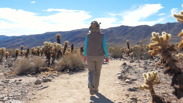 Arid desert landscape of joshua tree national park, featuring distinctive yucca plants, large boulders, and distant mountains under a clear blue sky