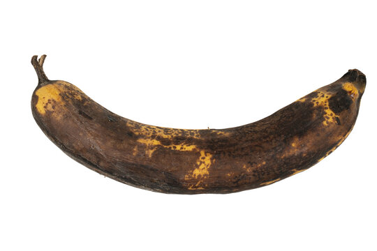 Rotten banana showing decay and food waste concept