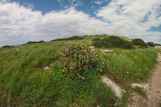 paesaggio