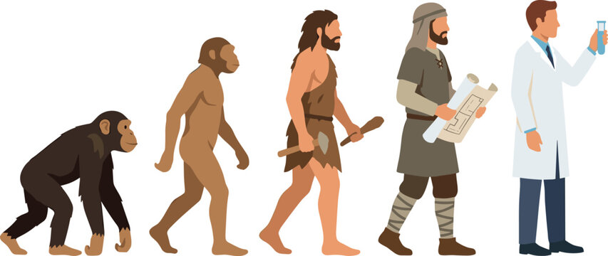 Human evolution timeline illustration showing progress from primitive ape to modern scientist with test tube