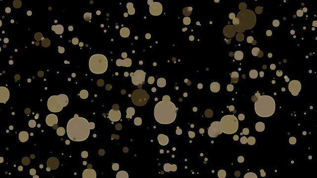 Noise Fractal Abstract Background Material Background Video Irregular Abstract Transparent Background Alpha Channel 3 color