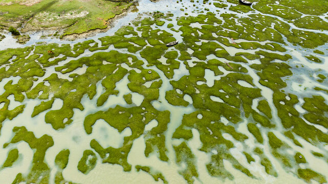 Aerial view of the tidal wetlands and winding water channels with lush green vegetation and small wooden boats in Patharghata, Barisal Division, Bangladesh.