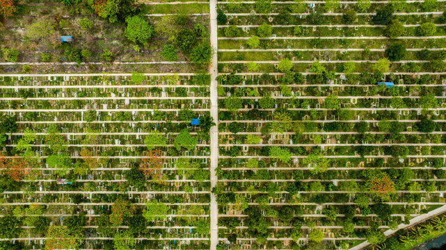 Aerial view of Rayer Bazaar cemetery featuring organized rows of graves interspersed with lush green trees and a central pathway in Dhaka, Dhaka Division, Bangladesh.