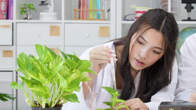 Teenage Girl Measuring Plant Growth in Science Classroom Laboratory