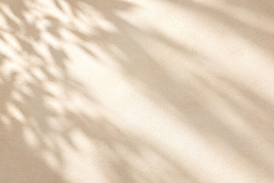 Minimalistischer heller Hintergrund in warmen Beiget&ouml;nen mit weichem nat&uuml;rlichem Licht und abstrakten Pflanzenschatten. Viel Copy Space f&uuml;r Werbung, Produktpr&auml;sentationen, Texte und modernes Design.