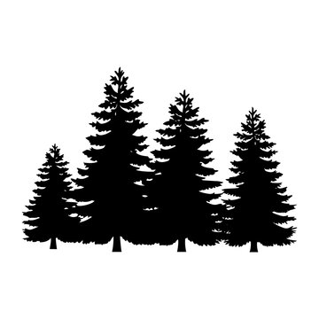 Pine tree forest svg cut file. Isolated vector illustration.
