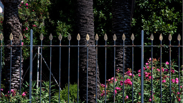 Reja met&aacute;lica con puntas doradas en primer plano; palmeras y arbustos con flores rosas crean un rinc&oacute;n ajardinado y protegido en paisaje urbano.