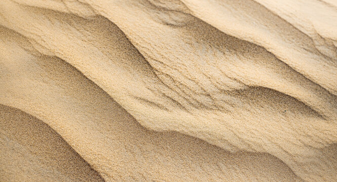 Warm golden sand dune smooth ripple pattern natural texture minimal abstract desert soft flowing form. Elegant nature closeup design scene. Neutral contemporary surface artistic wall decor panorama