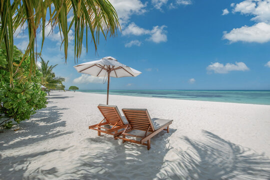 Idyllic tropical beach sunbeds white umbrella palm trees turquoise lagoon powder sand sunny paradise. Perfect summer vacation travel scene. Luxury couples honeymoon relax love coastal getaway