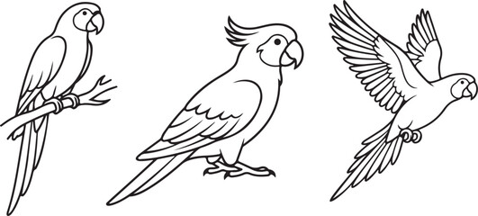 Obraz premium Parrot, Macaw, and Cockatoo Bird Line Art Icon Set Vector - Minimalist Tropical Exotic Parrot Silhouette and Outline Illustration Collection