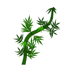 Fototapeta premium Green Bamboo Branch with Leaves Vector Illustration Isolated on Black Background 