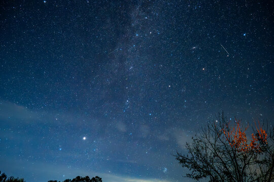 Star filled night sky with the Milky Way and meteor streaks above a dark tree line. Useful for astronomy and stargazing imagery