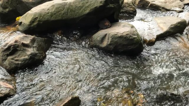Clear water flowing over and around large natural rocks in a tranquil stream in Thailand