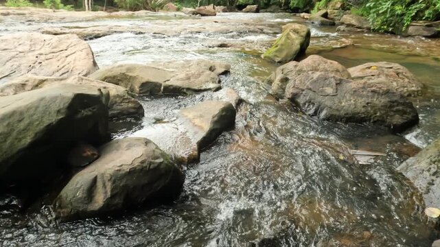 Clear Water Flowing Over Smooth Rocks in a Lush Green Forest Stream in Thailand