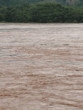 Wide muddy river flowing through a dense green forest in Southeast Asia, showcasing natural wilderness.