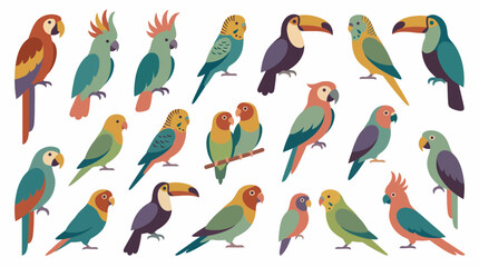 Fototapeta premium Flat vector tropical bird collection showing colorful parrots, exotic toucans and diverse pet species, concept for wildlife illustration and nature education