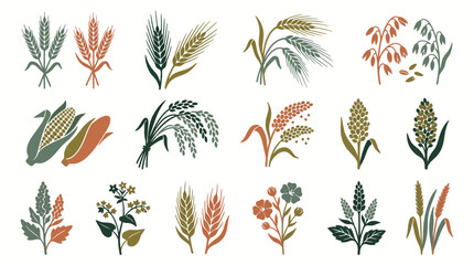 Obraz premium Agricultural grain and cereal crops icon set showing various types of grains, cereals and agricultural plants, concept for organic food production and sustainable agriculture