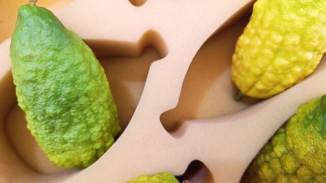 Fresh etrog citrus fruits in boxes for the Jewish holiday of Sukkot, traditional ritual fruit for the Four Species ceremony. Close-up of etrog in packaging, symbol of Jewish harvest festival.