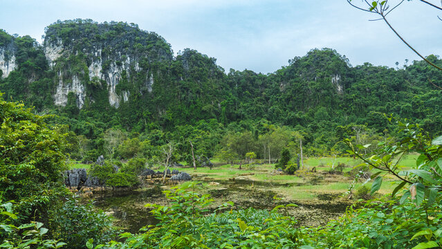 Lush Karst Cliffs and Wetland Landscape in Tam Coc, Vietnam